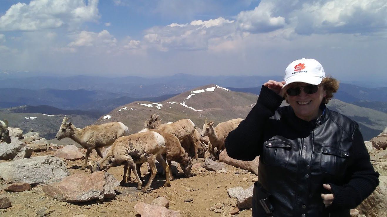Michael R Ritt The View From 14,271 Feet Is…SPECTACULAR! | Michael R. Ritt