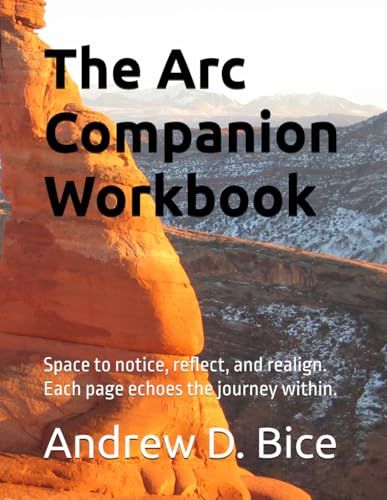 Realign Workbook The Arc Series | Andrew D Bice